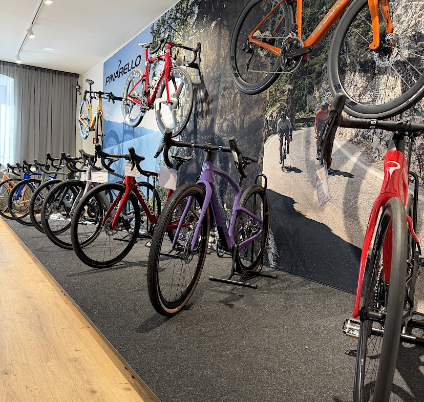 Reihe von Pinarello-Rennrädern im Schauraum von SPECIALISTA