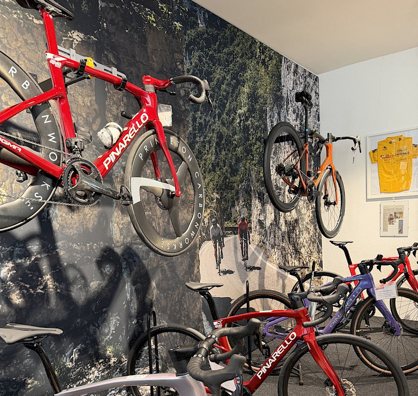 Rotes Pinarello Dogma an der Wand im Schauraum von SPECIALISTA